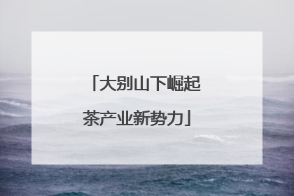 大别山下崛起茶产业新势力